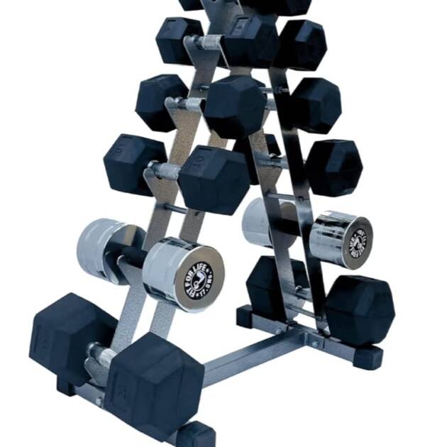Push2Fit Dumbbell Rack for 6 Pairs | Powder Coated Alloy Steel | Home Gym Storage Stand